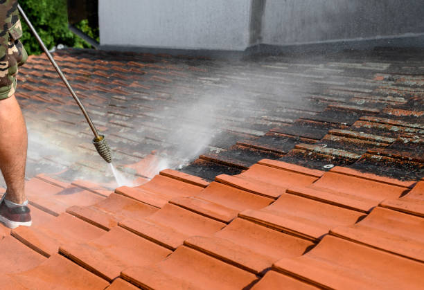 Best Affordable Power Washing  in Daphne, AL