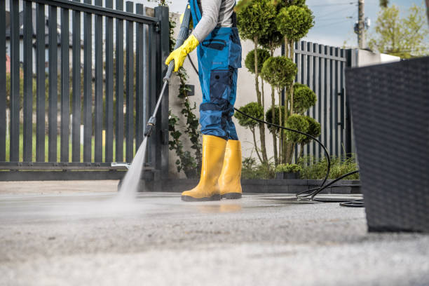 Best Roof Power Washing Services  in Daphne, AL