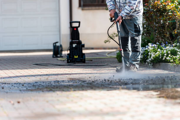 Best Local Pressure Washing Services  in Daphne, AL