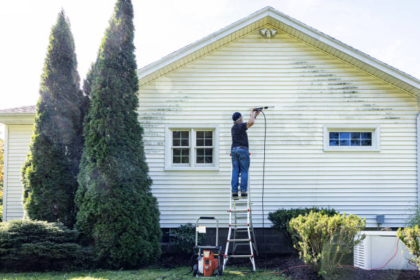 Best Concrete Pressure Washing  in Daphne, AL